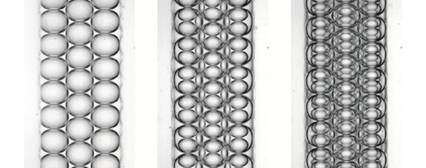 3D microchannels promote self-assembly of ordered emulsions at low droplet concentrations