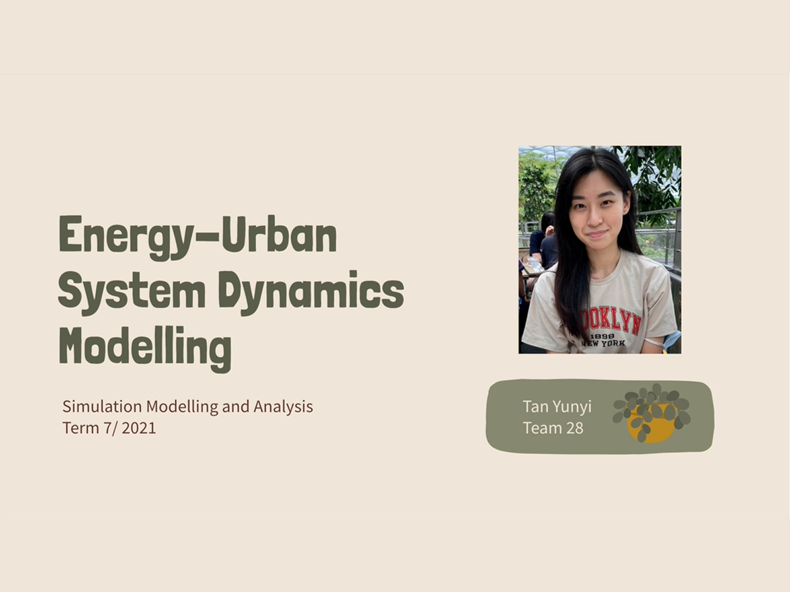 Energy-Urban System Dynamics Modelling