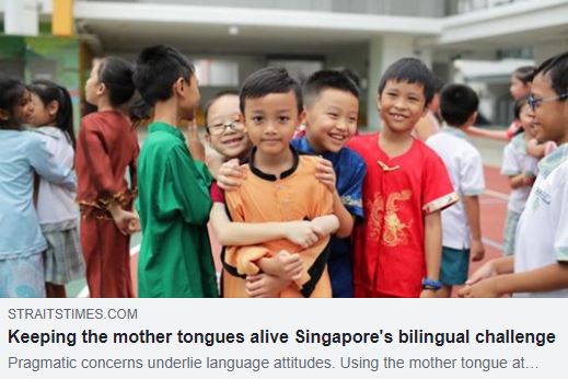 Keeping the mother tongues alive Singapores bilingual challenge