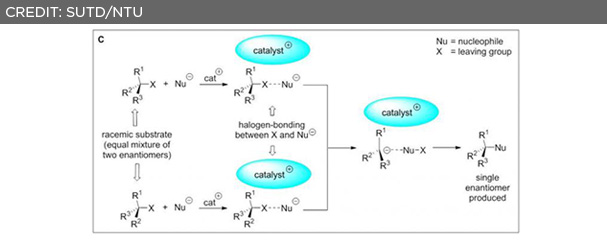 NTU and SUTD researchers discover asymmetric chemical reaction with intriguing reaction pathways