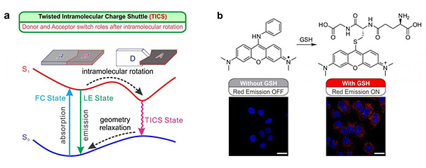 Researchers discover new charge transfer and separation process